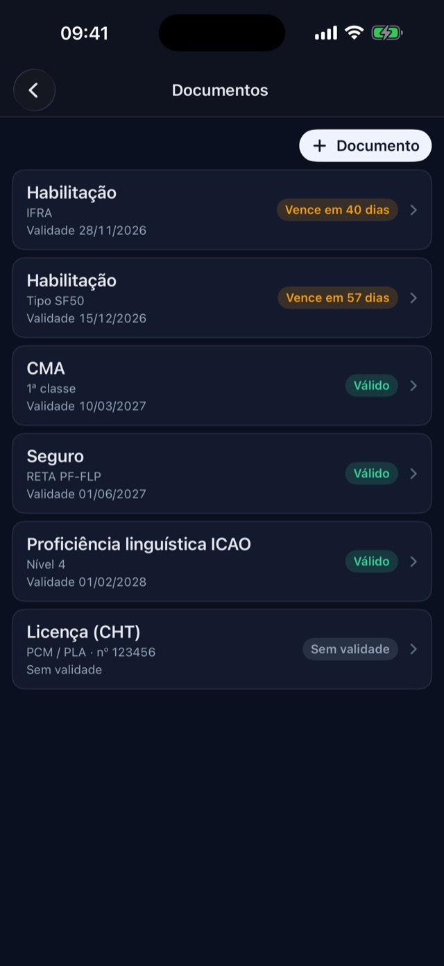 Carteira de documentos do piloto